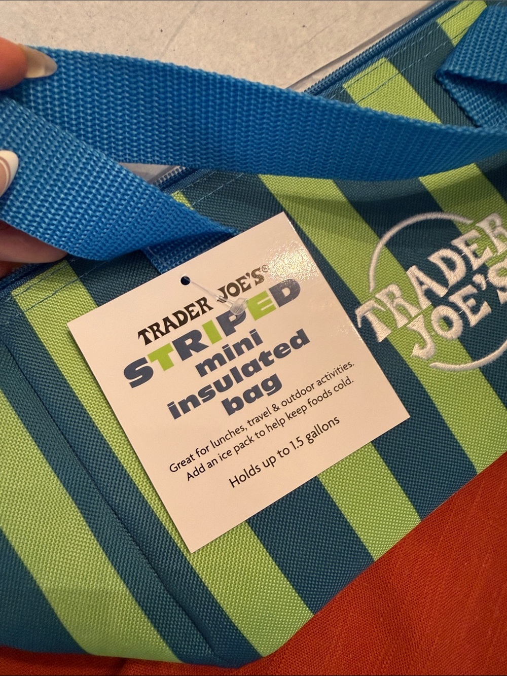 NWT Trader Joe’s mini insulated tote bag blue and green stripes - Picture 5 of 5